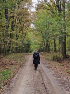 Az erdei séták tökéletesek a gombászáshoz