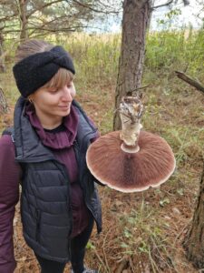 Gombagyűjtés közben